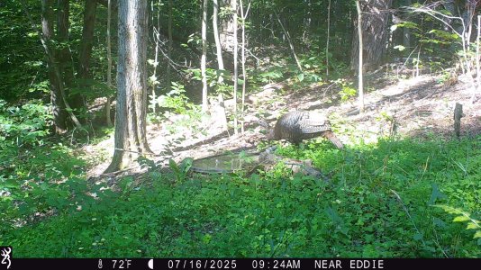 TurkeyIMG_0036.JPG