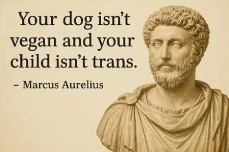1758739370332.png