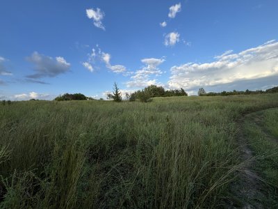 IMG_5394.jpeg