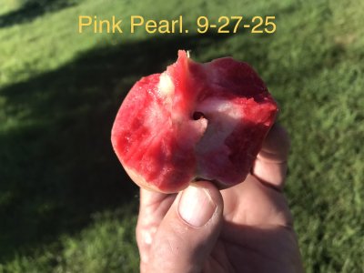 763D1FCC-1BC0-48F2-8257-2A571F0DD2C9.jpeg