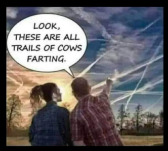 1758751978232.png