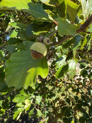 IMG_9101.jpeg