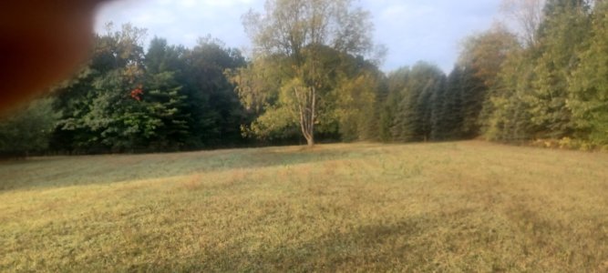 20250919_090953.jpg