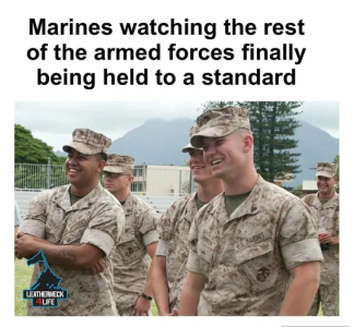 1759507457691.png