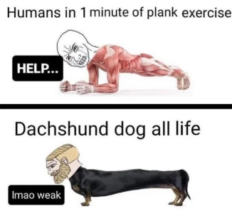 1759511569033.png