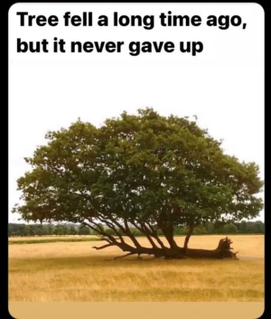 1759512840087.png