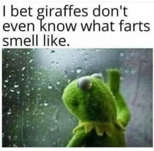 1759517882856.png