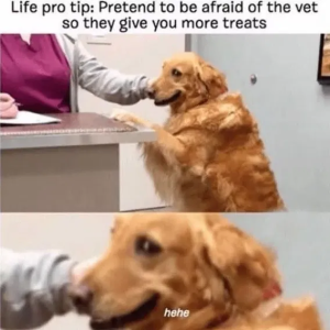 1759524436577.png