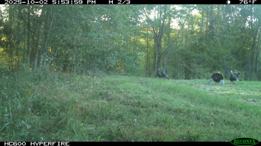toms2-IMG_0506.JPG