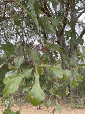 IMG_2023.jpeg