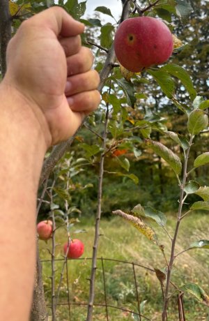 IMG_1379.jpeg