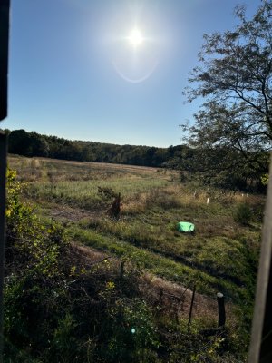 IMG_3330.jpeg