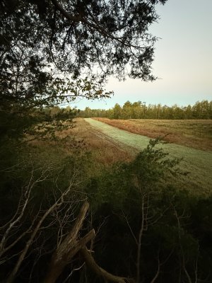 IMG_8727.jpeg