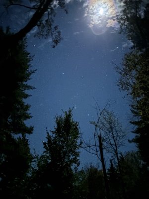 IMG_1264.jpeg