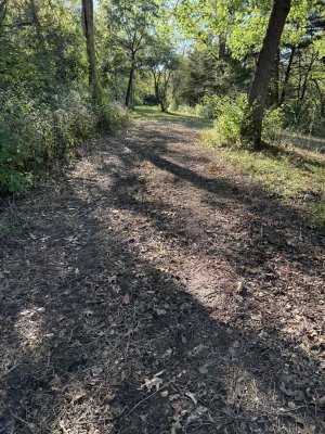 IMG_0617.jpeg