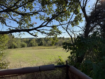 IMG_7639.jpeg