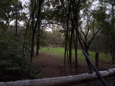 IMG_7644.jpeg IMG_7644.jpeg