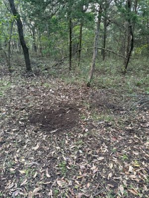 IMG_7646.jpeg IMG_7646.jpeg