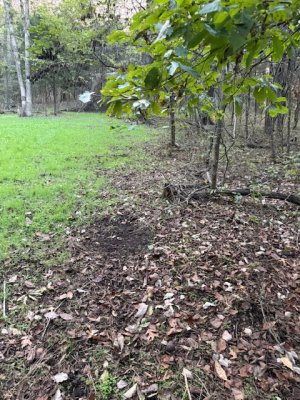 IMG_7647.jpeg IMG_7647.jpeg