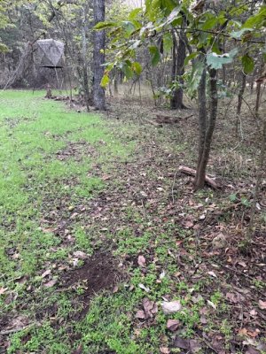 IMG_7648.jpeg IMG_7648.jpeg