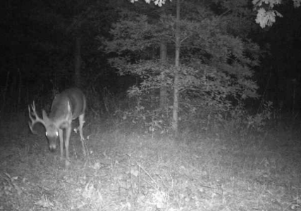 1760296070100.png 1760296070100.png