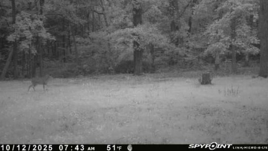 IMG_7656.jpeg IMG_7656.jpeg