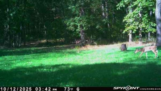 IMG_7657.jpeg IMG_7657.jpeg