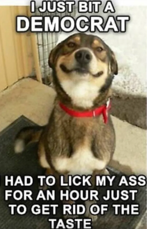 1760384015731.png