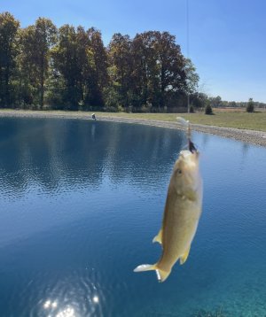 IMG_9907.jpeg