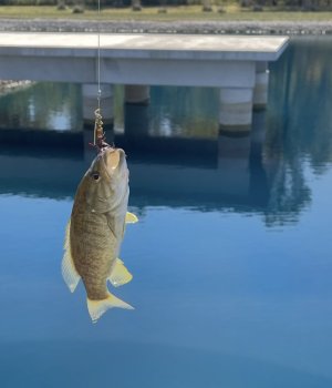 IMG_9906.jpeg