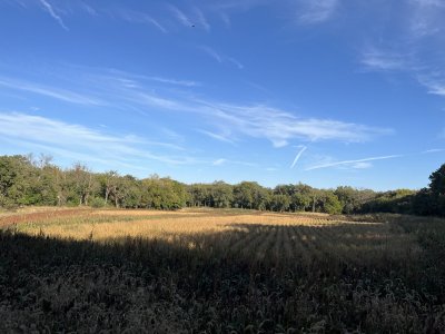 IMG_6260.jpeg
