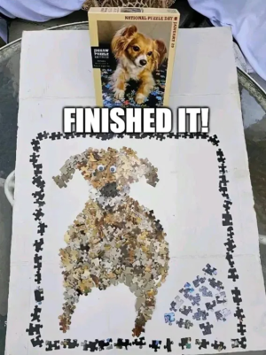 1760474112118.png