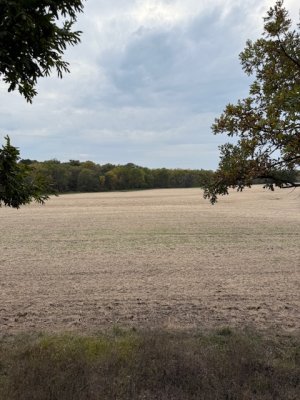 IMG_7679.jpeg