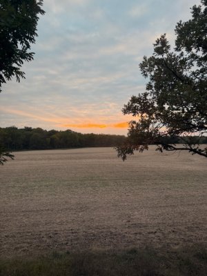 IMG_7682.jpeg