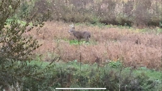 IMG_1735.jpeg