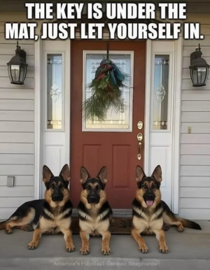 1760642920363.png