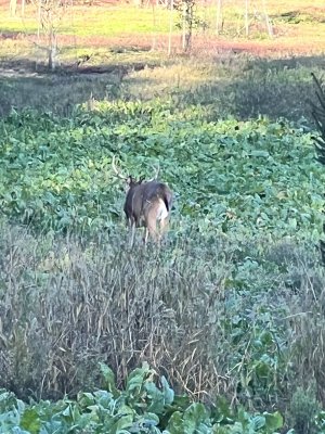 IMG_6144.jpeg