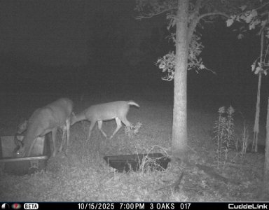 Image 10-17-25 at 08.07.JPG