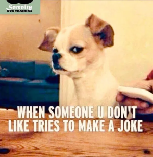 1760727091623.png