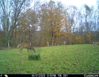 IMG_1884465848.jpg