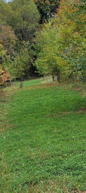 Screenshot_20251018_213251_Gallery.jpg Screenshot_20251018_213251_Gallery.jpg