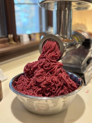 IMG_1462.jpeg