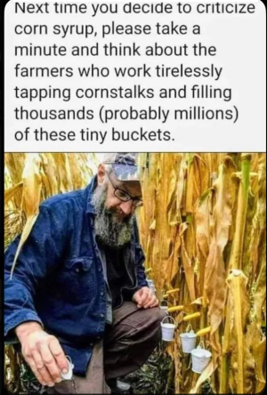1760979902093.png