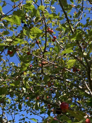 IMG_5966.jpeg