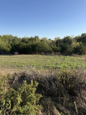 IMG_7730.jpeg