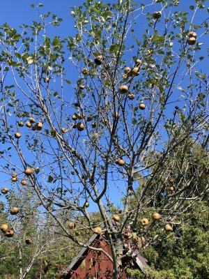 IMG_5964.jpeg