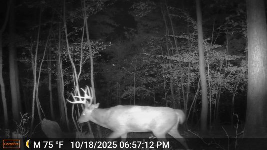 e1-DSCF0020-big10.jpg