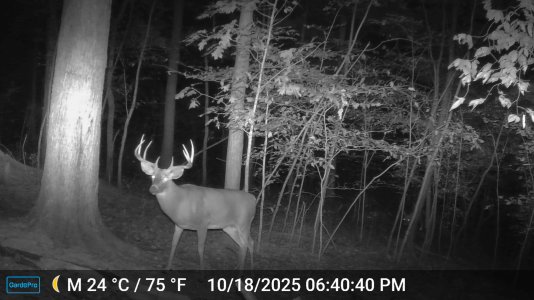 e1-DSCF0004-big9.jpg