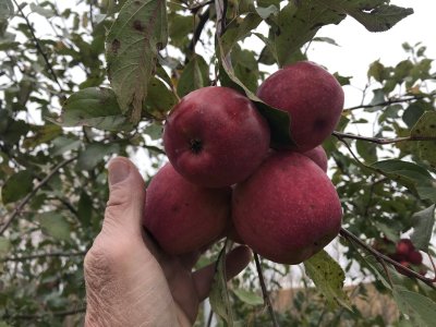 0EEAAAAC-AB90-4914-9F60-A12437CC2874.jpeg 0EEAAAAC-AB90-4914-9F60-A12437CC2874.jpeg