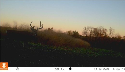 Screenshot_20251023_184724_Trail Cameras.jpg Screenshot_20251023_184724_Trail Cameras.jpg